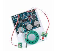 XUXHOU Sound Recording Module 27s for Frame -Akku Button for Adapted Messages (Extended cable version)