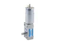 XUXINYCS 12V/24V Volt DC Worm Gear Motor Self-locking PWM Adjustable Speed Can CW CCW Micro Motor MY5840-555