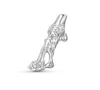 XUXINYCS 3PCS Foot Bone Brooch Orthopedic Soles Skeleton Lapel Pin for Orthopedist Doctor Podiatrist Badge