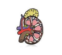 XUXINYCS 3PCS Kidney Anatomy Enamel Brooch Pin Biology Urology Lapel Backpack Badge for Doctor Nurse