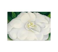 XuXueCC A White Camellia Georgia O'Keeffe Print - American Modernism Flower Painting for Wall Art Art Canvas Painting Decor Wall Print Photo Home Modern Decoratives Unframe 12x18inch(30x45cm)