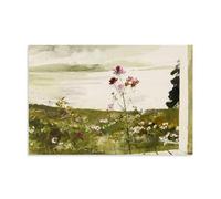 XuXueCC Andrew Wyeth Wall Art Prints Paintings Poster Field Flowers Painting On Canvas Wall Art Scroll Picture Print Living Room Walls Decor Homes Unframe 12x18inch(30x45cm)