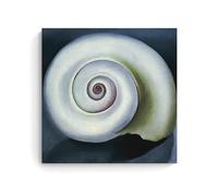 XuXueCC Georgia O'Keeffe Shell Print - American Modernism Wall Art Featuring A Swirled Shell Design Canvas Art And Wall Art Picture Print Modern Family Bedroom Decors Unframe 20x20inch(50x50cm)