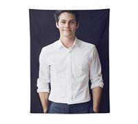 XUYANG Dylan O'Brien Poster Hot Actor Tapestry Decorative Painting Polyester Wall Art Living Room Tapestries Bedroom Prints 30"x40"