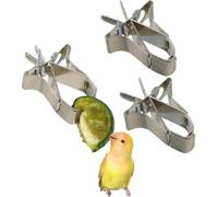 Xuzhengyang Bird Feeder for Parrots Clip for Fruits and Vegetables Stainless Steel Feeder Accessories for Bird Cages (3 Pieces)
