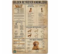 XVBCDFG Dog Knowledge Metal Tin Sign Golden Retriever Anatomy Breed Aluminum Poster Farm School Education Home Kitchen Club Garage Wall Decoration Plaque 12x16 Inches
