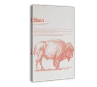 XVHOGAS North American Animals Poster 4 Canvas Poster Bedroom Decor Landscape Office Room Decor Gift 12x18inch(30x45cm)