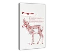 XVHOGAS North American Animals Poster Canvas Poster Bedroom Decor Landscape Office Room Decor Gift 12x18inch(30x45cm)