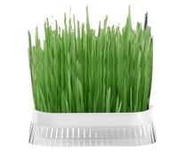 Xvilmaun Hydroponic Cat Grass Planter, Cat Grass Planter, Earthless Cat Grass Grower, Hydroponic Cat Grass Planter, Soilless Culture Sprout Tray for Indoor Growing,