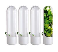 Xvilmaun Protector for the Fridge, Coriander Container for Fridge, Fresh Storage Box, Multifunctional Plant Protection Container, 4-Piece Coriander Holder Organiser