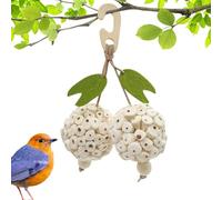 XVogelspielzeug Balls, Colourful Parrot Game, Modern Chew Ball, Woven Rattan Globe, Interactive Cage Ornament, Wooden Training Bead, Pet Variary Entertainment, Fun Pellet