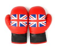 Xwin SportSeries 20CM Kids Boxing Gloves - Lightweight Punching and Training Gloves - Soft Durable Youth Sparring Gloves with UK Design - Fitness and Fun Games for Boys and Girls Age 3+ Years