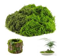 XWLEYW 200g Fake Moss, Artificial Moss for Indoor Plant Pots, Artificial Plants Faux Moss for Indoor Planters, Home, Garden, Model Making, Landscaping, Arts (Dark Green 100g+light Green 100g)