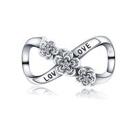 XWN Charms Beads 925 Sterling Silver for Pandora Bracelet, Dangle Pendant Charms for Necklace and Bracelet Jewelry Gifts for Women.