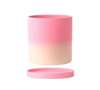 XXAD553TY Planter Gradient Pink Ceramic Cylindrical Plant Pot; Wide-mouthed Terracotta Pot Suitable For Snake Plants(Small)