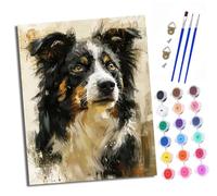XXHXIE Paint by Numbers for Adults DIY Painting by Numbers Kits Handsome Border Collie with Acrylic Paints Pre Printed Canvas and Brushes Gift Wall Decor 16x20 inch Without Frame