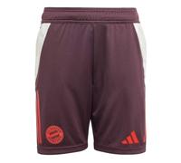 2024-2025 Bayern Munich Training Shorts (Shadow Maroon) - Kids