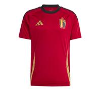 (XXL) 2024-2025 Belgium Home Fan Shirt