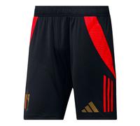 (XXL) 2024-2025 Belgium Training Shorts (Black)