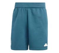 (XXL) 2024-2025 Italy Travel Shorts (Arctic Night)