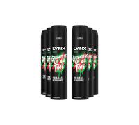 XXL Africa High Definition 'Body Spray' Deo, 6x250ml Lynx Orange One Size