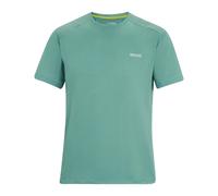 (XXL, Arctic) Regatta Mens Virda T-Shirt