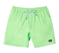 (XXL, Green Gecko) Quiksilver Mens Everyday 15" Elasticated Waist Swim Swimming Shorts