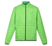 (XXL, Jasmine Green/Field Green) Regatta Mens Hillpack Quilted Insulated Jacket