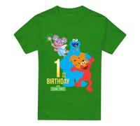 (XXL, Kelly Green) Sesame Street Unisex Adult 1st Birthday T-Shirt