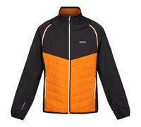 Regatta Mens Steren Hybrid Soft Shell Jacket - Orange Pepper/Ash - Orange Pepper/Ash - XXL