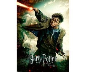 XXL Pieces - Harry Potter