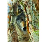 XXL Pieces - Wolf Encounter