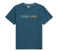 (XXL, Teal) Animal Mens Jacob Distressed Logo T-Shirt