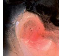 Xxl (Xiu Xiu / Larsen) - Puff O'Gigio [VINYL]