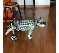 "XXS Schnauzer Dog Wheelchair - 2-Wheel Mobility Aid for Back Leg Injuries, Arthritis, & Spine Support - Hip Brace for Enhanced Dog Mobility"