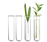 XXXFLOWER Glass Propagation Stations Accessories Glass Test Tubes Tiered Planters Wall Terrarium for Home Office Plant Hanger Flower Vases Wall Decor Hydroponic Cuttings (4 Tube Vases) Clear