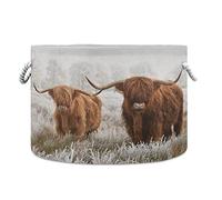 XXXLarge Collapsible Laundry Basket Scottish Highland Cow, 20 x 14 Inch Cotton Rope Basket for Toys, Pillows, Cushions in Living Room, Laundry Room, Bathroom