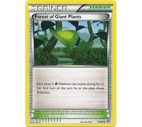 XY Ancient Origins 074/98 Forest of Giant Plants