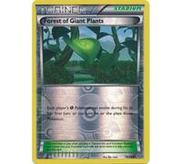 XY Ancient Origins 074/98 Forest of Giant Plants (Reverse Holo)