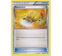 XY Flashfire 96/106 Sacred Ash