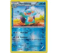 XY Primal Clash 34/160 Marshtomp (Reverse Holo)