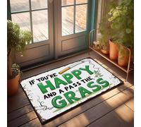 XYBH Fall Outdoor Rug For Front Door If You'Re Happy, Pass The Grass. Doormat Funny Stuff Fall Outside Door Mats(50X80CM)