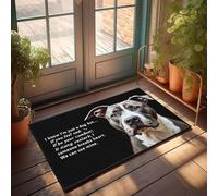 XYBH Fall Outdoor Rug For Front Door I'M Here To Comfort You Doormat Funny Stuff Fall Outside Door Mats(40X60CM)