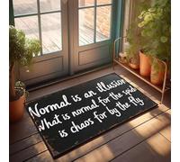 XYBH Garage Accessories For Man Cave Normal Is An Illusion What Is Normal For The Spider Is Chaos For By The Fly Doormat Porch Decor Playroom Furniture(40X60CM)