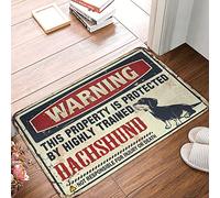 XYBH Home Door Mat Warning This Property Is Protected By A Highly Trained Dachshund Rug Porch Decor Desk Accessories For Men(40X60CM)