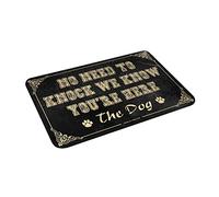 XYBH Outdoor Layering Rugs Front Door No Need To Knock We Know You’Re Here Mat Front Door Mat Funny Funny Kitchen Decor(65X90CM)