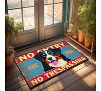 XYBH Spring Door Mats For Outside Entry No Entry No Trespassing Doormat Mat Shoes Fall Decorations For Home Porch(65X90CM)