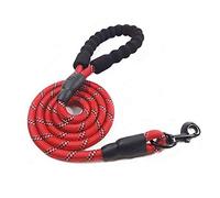 XYDZ Anti Pull Dog Lead with Highly Reflective Strong Shock Absorbing Stretchy Nylon Dog Rope Anti Pull Training Dog Lead for Extra Control Reflective Dog Leash for Medium and Large Dogs - Red