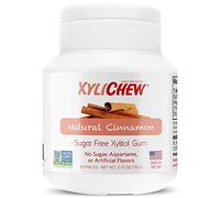 Xylichew - Naturally Better Sugar-Free Chewing Gum, Cinnamon - 4 Pack of 60 Pieces (240 Pieces Total)
