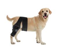 Xylitic Dog Knee Brace, Acl Knee Brace for Dogs Hind Leg with Cruciate Ligament Injury,Joint Pain and Muscle Sore,Adjustable Dog Rear Leg Brace Support for Patella Dislocation,Pet Knee Brace (Medium)